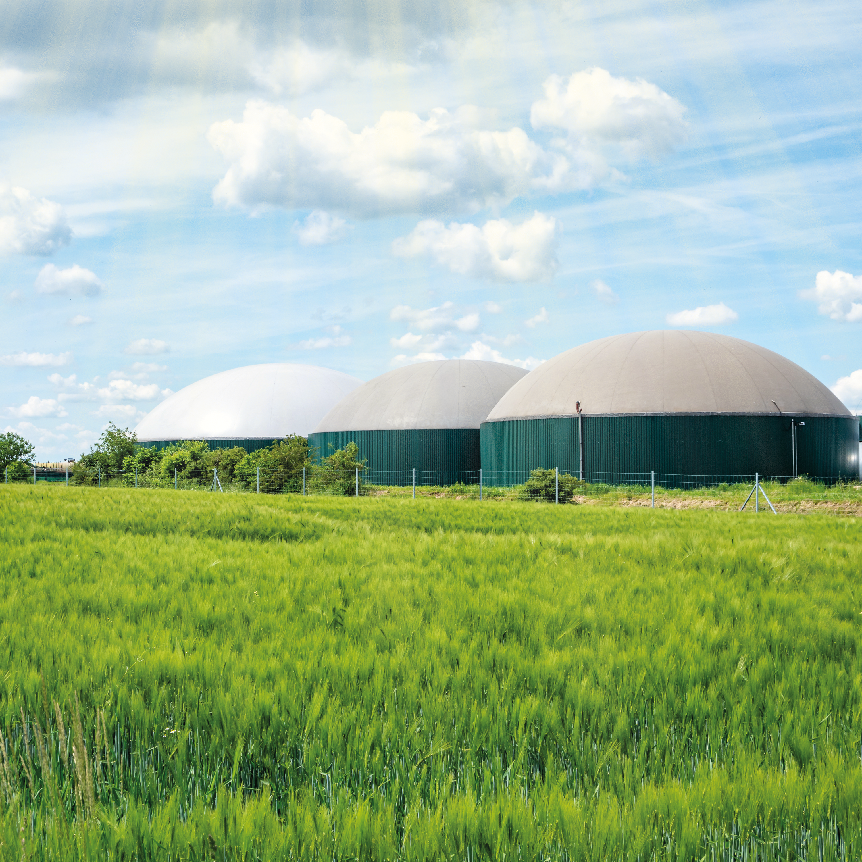 Fernwärme aus Biogas