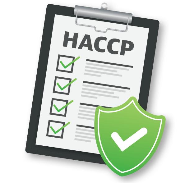 Witty-HACCP Safe